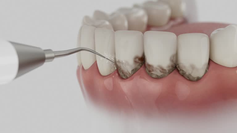 Reliable Dental contractor in Perry County County, MS by Dentist Open Now